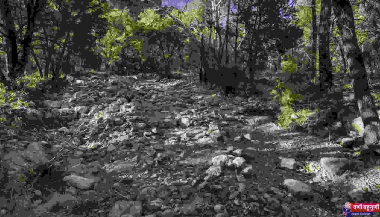 प्रातिनिधिक चित्र